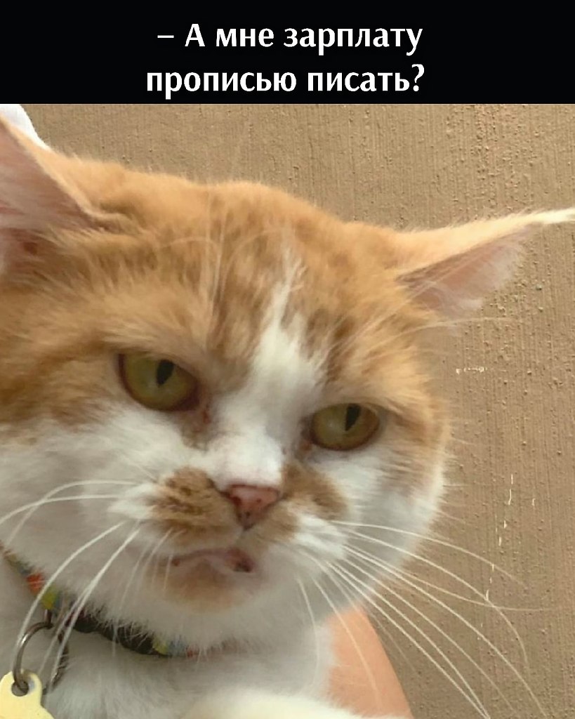       - 3  2025  17:00
