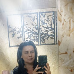 ����, 44 ����, ������