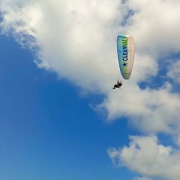 Murat, ������, 44 ����