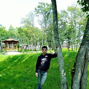 ����������, 31 ���, �������