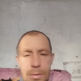 , 40, 