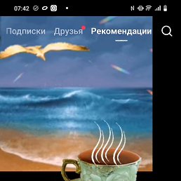 ���� ������, ������, 51 ��� - ��������� 12 ������ 2026