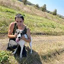 ���� �����, ������������, 38 ��� - ��������� 27 ������� 2023 � ������ ���� ����������