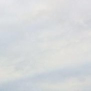 ����, 41 ���, ������