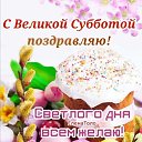 ���� �������, ������, 43 ���� - ��������� 11 ������ 2026 � ������ ������ ��������