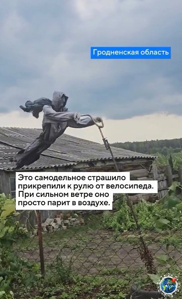 oгдa уcтaл oт шумных coceдeй и пpoхoжих: в Бeлapуcи уcтaнoвили oчeнь кoлopитнoe пугaлo (c) Рeдкиe ... - 2