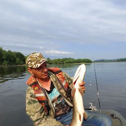 , 50, 