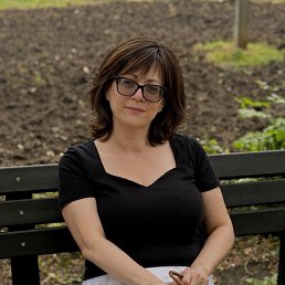 ���� �����, ����, 49 ��� - ��������� 2 ������ 2026