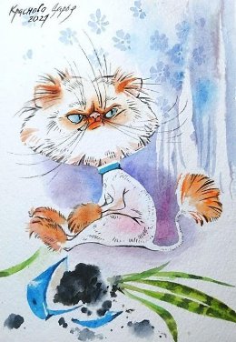 �����������