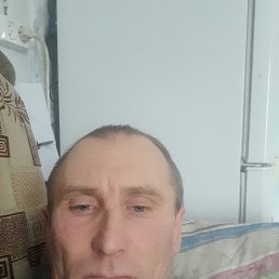 , 40, 