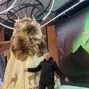 ���� Zmak, ������, 60 ��� - ��������� 19 ������� 2026 � ������ ���� ����������