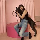 ���� �������, ������ - ��������� 1 ����� 2025 � ������ ���� ����������