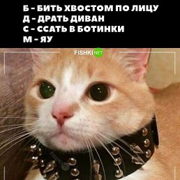 ���� M0tul, ������ ��������, 33 ���� - ��������� 16 ������� 2024