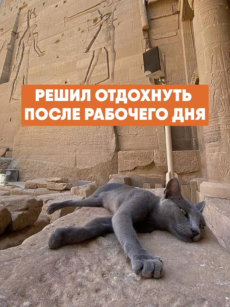     .      .       ,   ...