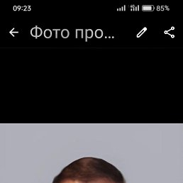 , 53, 