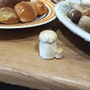 ���� �������, ������������, 51 ��� - ��������� 9 ������� 2024 � ������ ������������