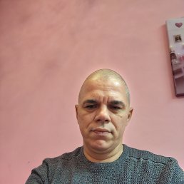 ���� �������, ���������, 49 ��� - ��������� 23 ������ 2026