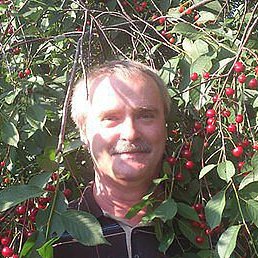 �����, �����-���������, 68 ���