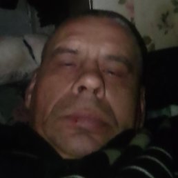 ������, ���, 51 ���