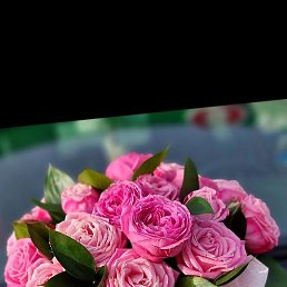 �����, �������, 37 ���