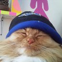  ,  , 65  -  30  2023    