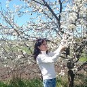 ���� ������, ����, 33 ���� - ��������� 4 ���� 2025