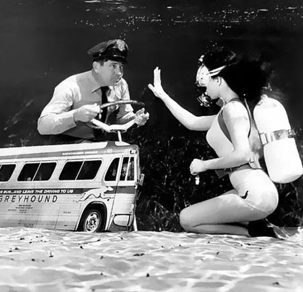 Первая подводная фотография моделей была создана в 1938 году фотографом Брюсом Мозертом. Его работы ...
