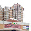 ���� ����, �������, 49 ��� - ��������� 19 ������ 2025 � ������ ���� ����������