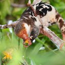 ���� �����������, ������ - ��������� 3 ������� 2025 � ������ ������ ��������