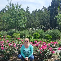 �����, �����������, 51 ���