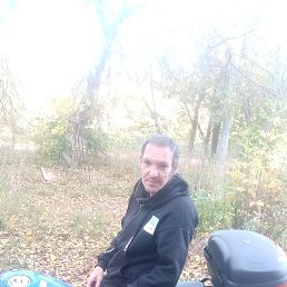 , 41, 