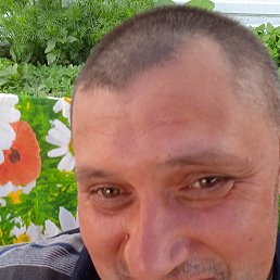 �������, �����������, 43 ����