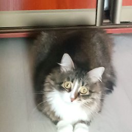 ���� ������, ������, 51 ��� - ��������� 14 ������� 2025