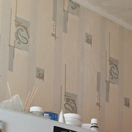 ������, ������ �����, 40 ���