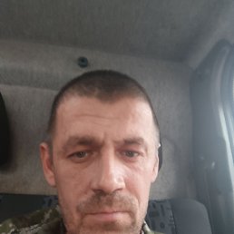 , 41, 