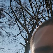 �����, 19 ���, �����-���������