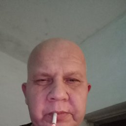  , 51, 