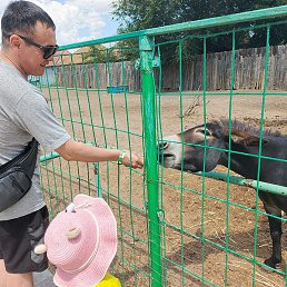 �����, ���������, 35 ���