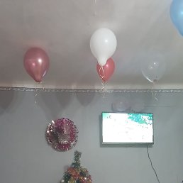 ������, ������, 37 ���