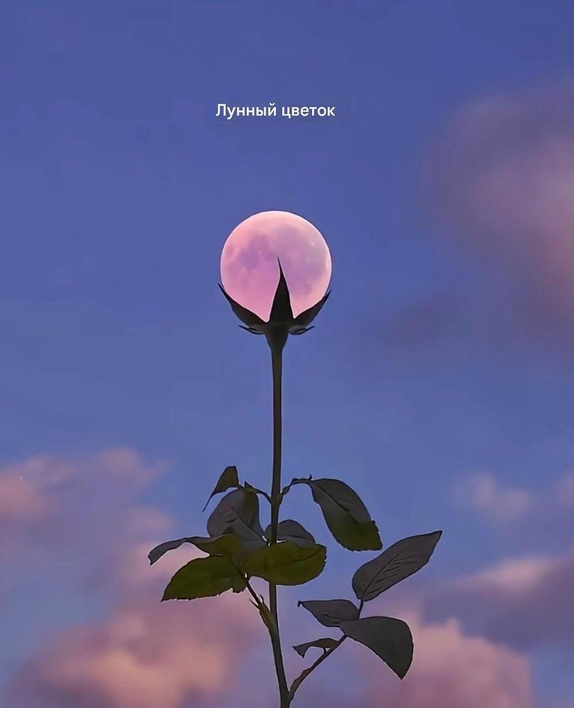 ������������y��� - 5