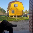 ���� ������� �������, ������, 46 ��� - ��������� 9 ������� 2024 � ������ ���� ����������