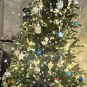���� ������, �����������, 41 ��� - ��������� 18 ������ 2024 � ������ ���� ����������