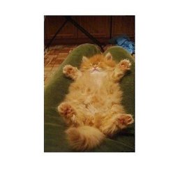 �����, ������, 96 ���