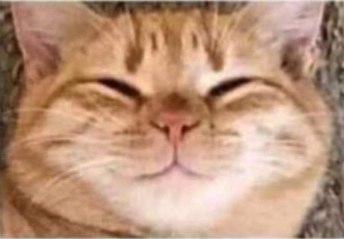 ������ ����� � ��������� ����� - 3