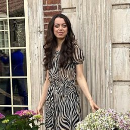 ����, 33 ����, ���������