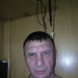 , 49 , 