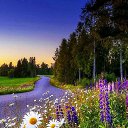 ���� L, ���!, 54 ���� - ��������� 8 ��� 2025 � ������ ���� ����������