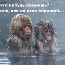 ���� ����, ���������, 39 ��� - ��������� 8 ������� 2025 � ������ ���� ����������