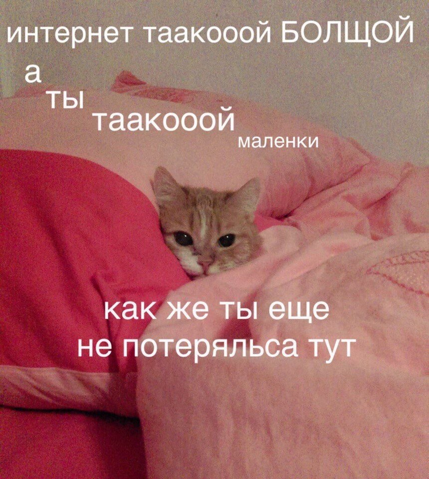    - 4  2024  20:28