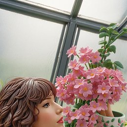 ����, ����������, 61 ���